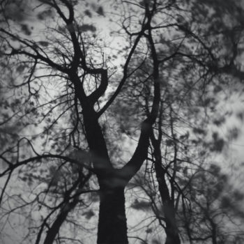 Name of the work: Dead Trees (枯れ木)