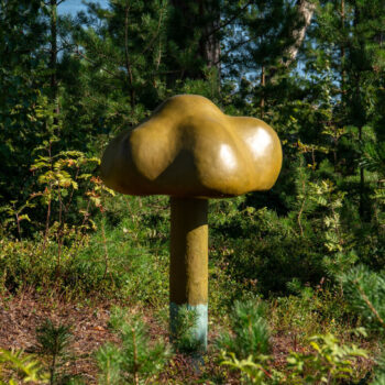 Teoksen nimi: Sieni / The Mushroom