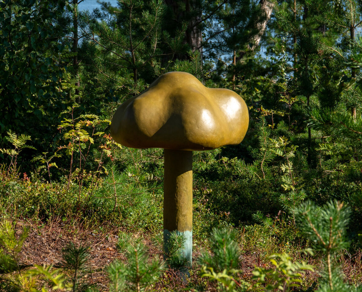 Sieni / The Mushroom