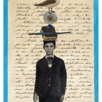 Teoksen nimi: Kirje eräälle lokille