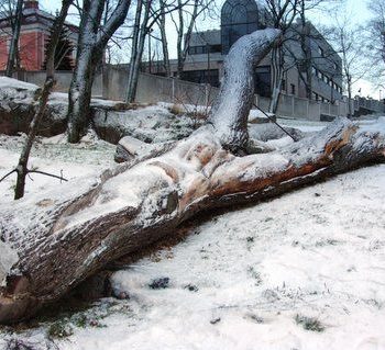 Lisäkuva teoksesta