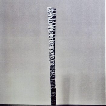 Name of the work: “Usva”