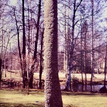 Name of the work: “Vihreä linja”