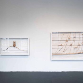 Name of the work: Usko-koirani, löysin sinut! ja Koirat tuonpuoleisessa