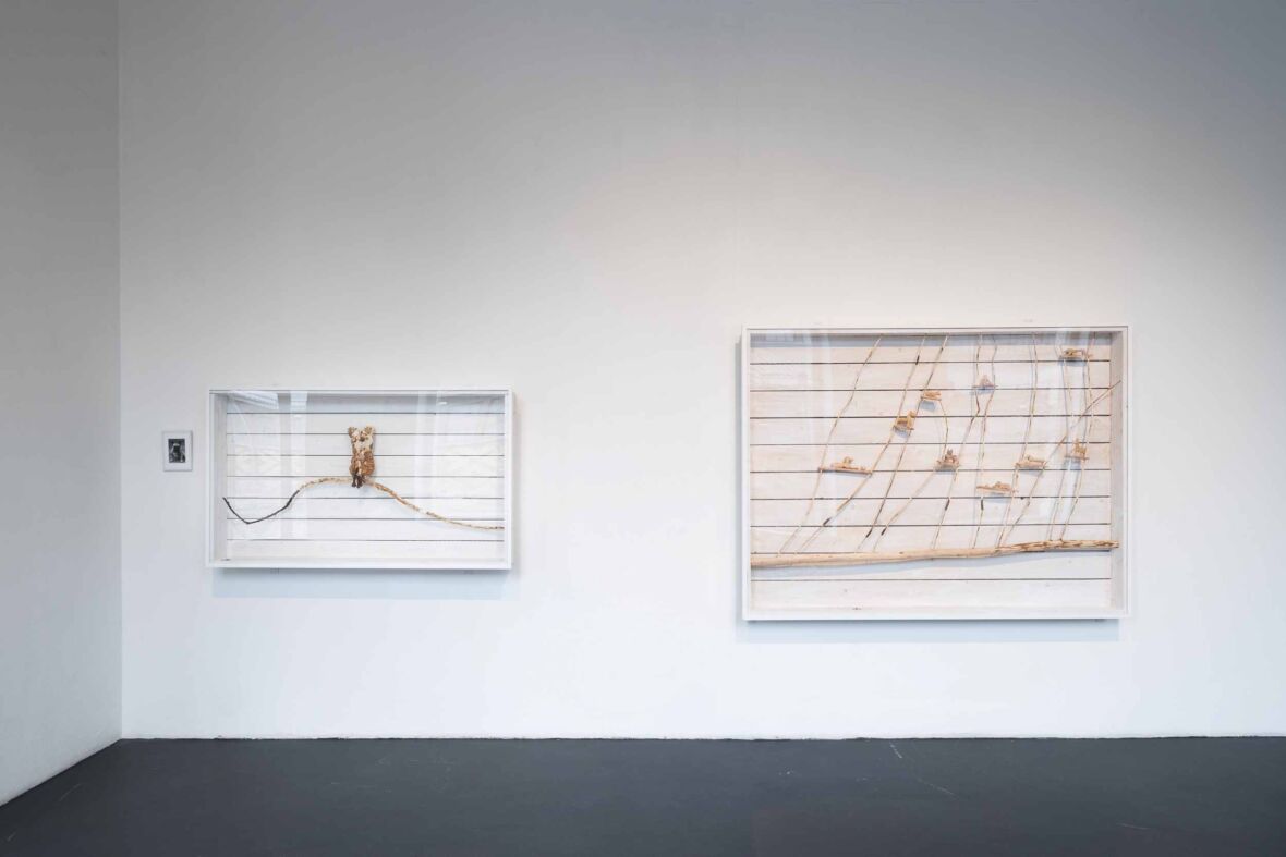 Usko-koirani, löysin sinut! ja Koirat tuonpuoleisessa