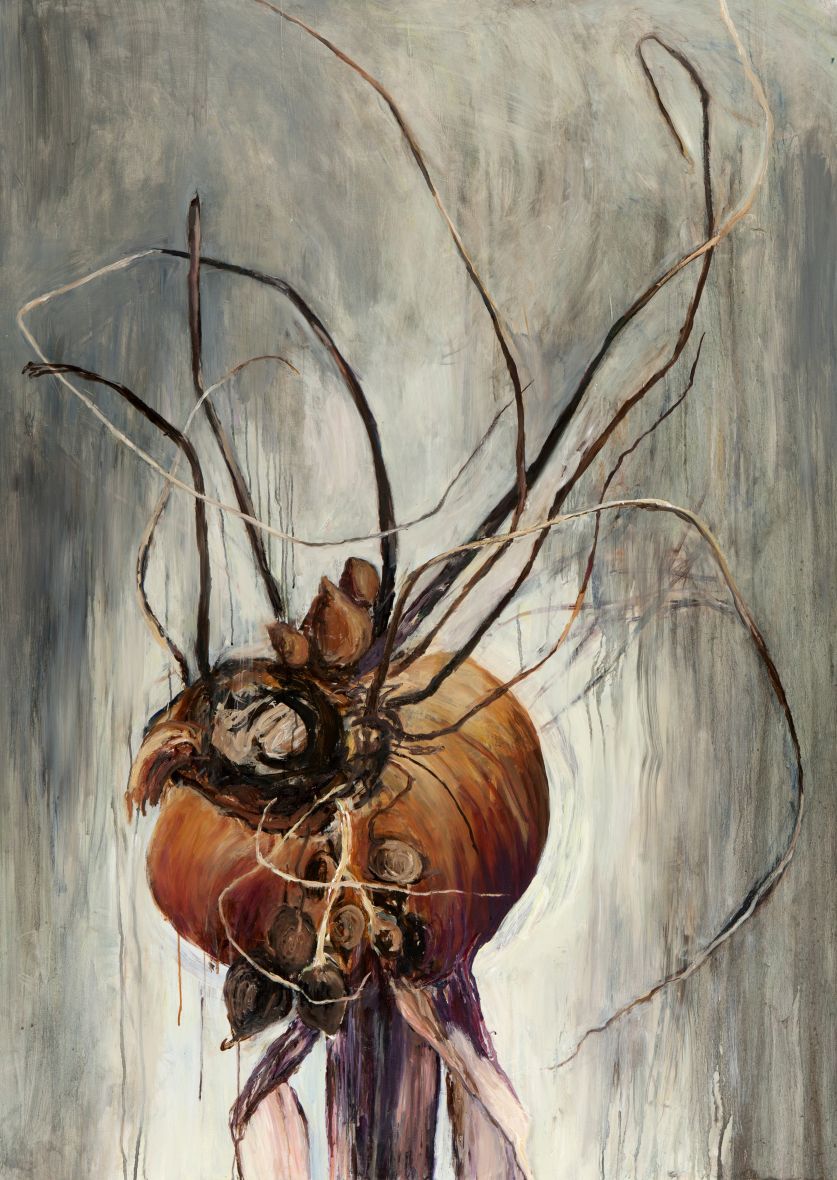 Cladiolus III