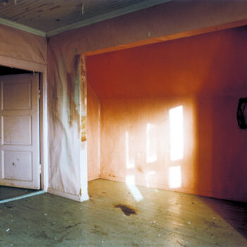 Name of the work: Pitkä ja kaunis ystävyys