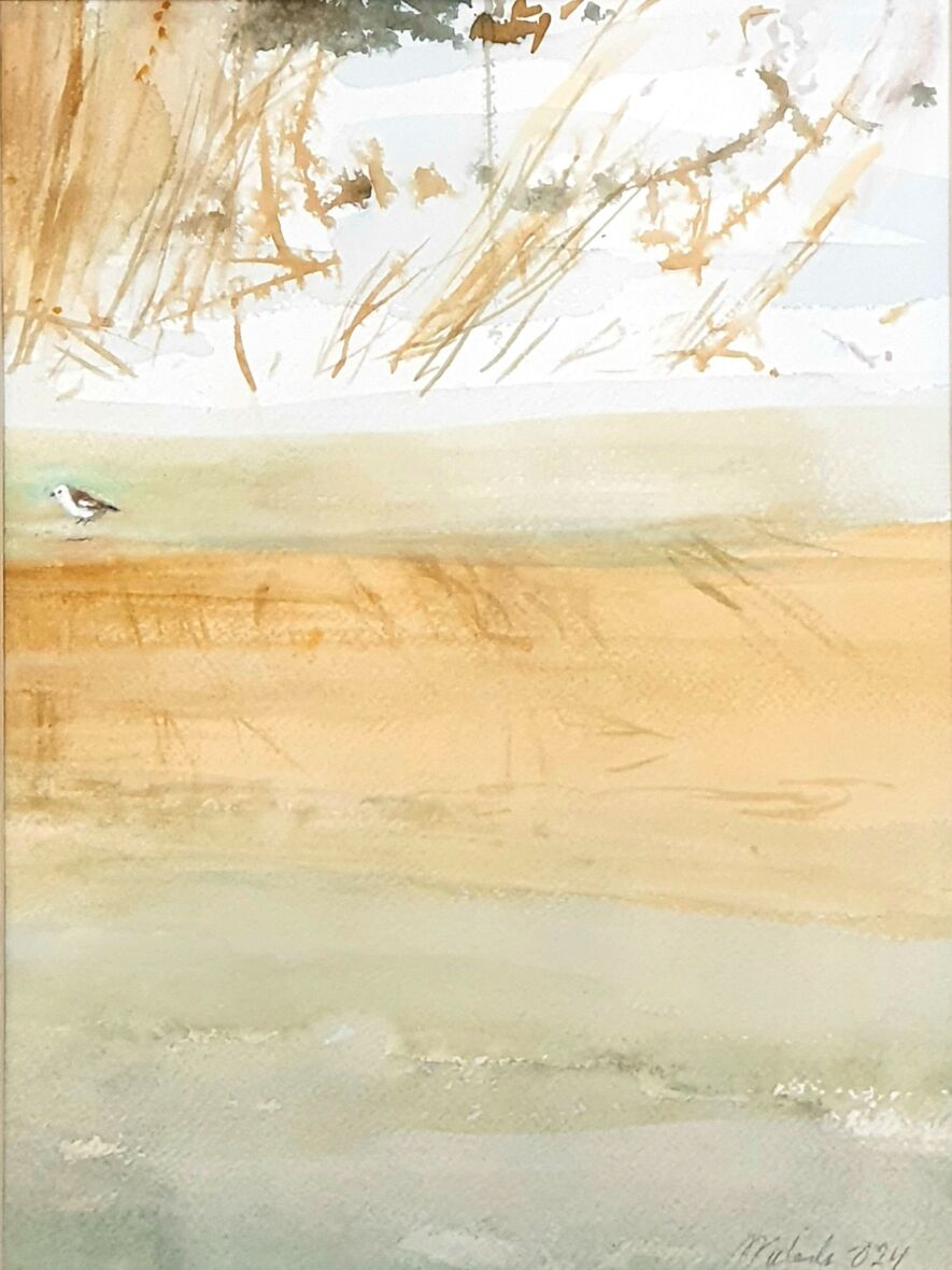 Kevätlintu, Spring bird