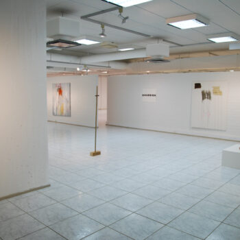 Name of the work: 2015 Seinäjoen taidehalli