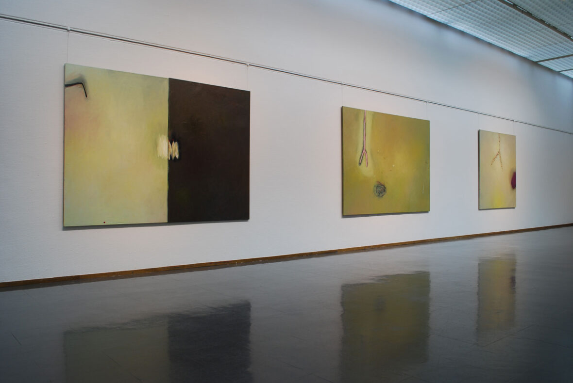 2019 Pohjanmaan museo