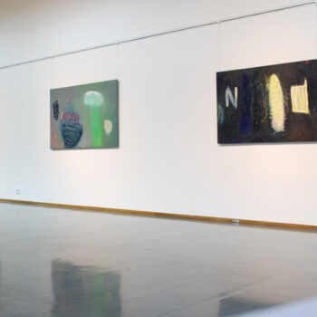 Name of the work: 2019 Pohjanmaan museo