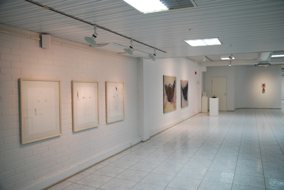 2015 Seinäjoen taidehalli