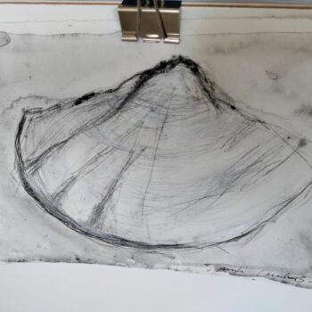 Name of the work: Coquille © Tuuli Luukas 1990, Kuvasto / société soeur ADAGP, 2024