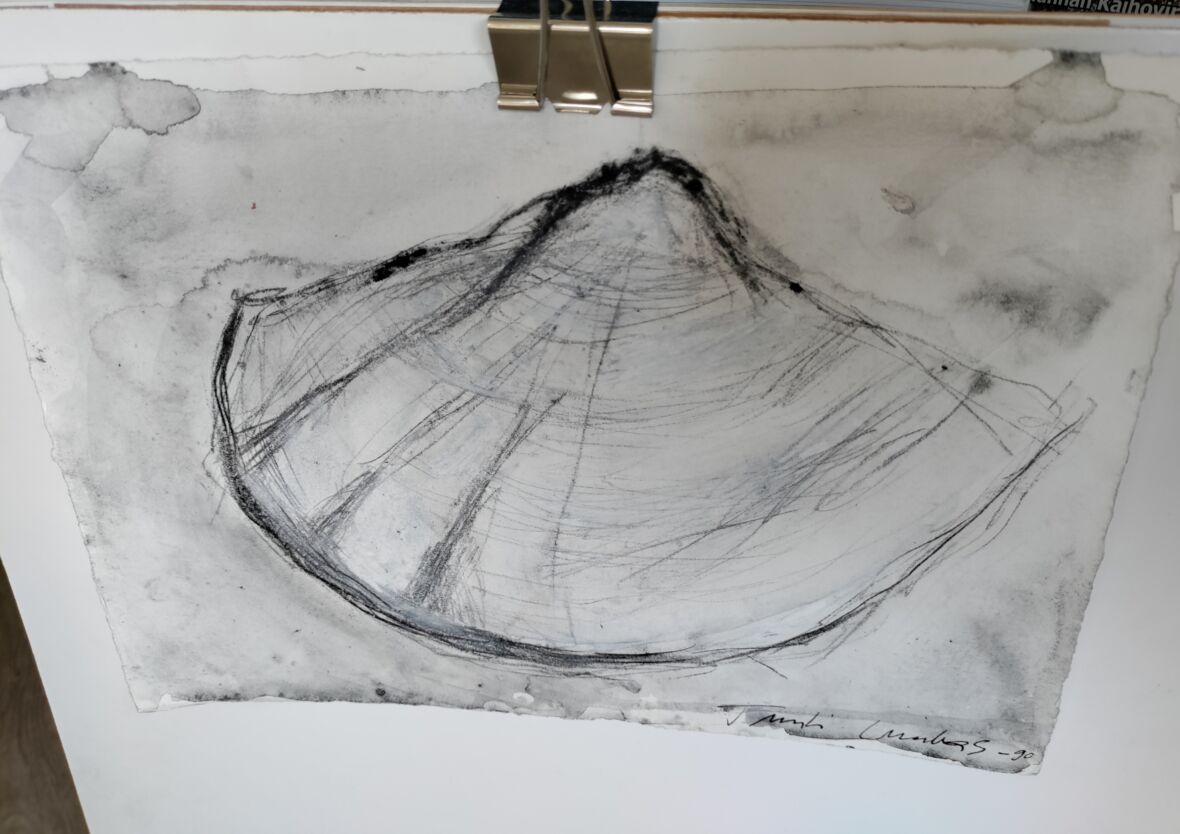 Coquille © Tuuli Luukas 1990, Kuvasto / société soeur ADAGP, 2024