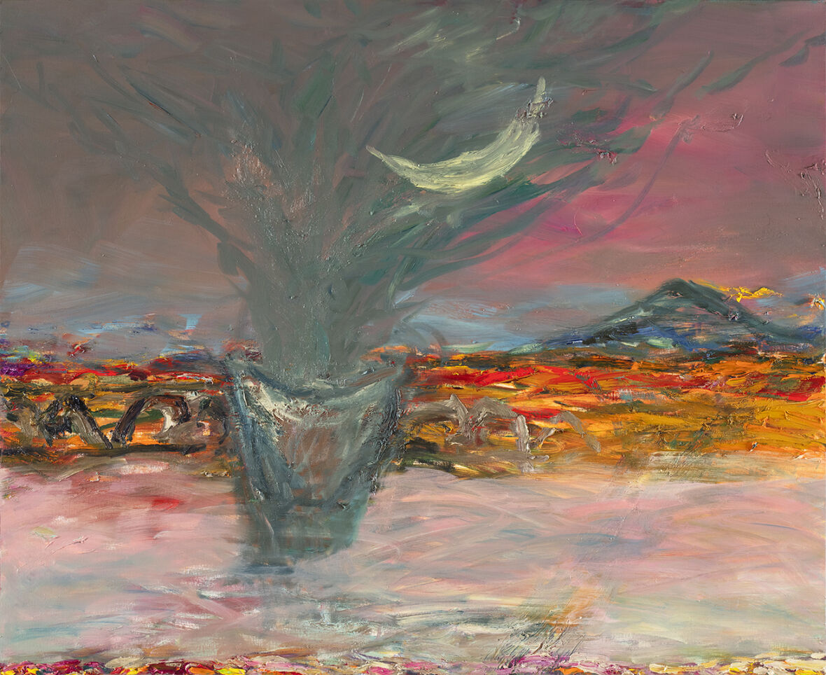 Katselimme kun kuu nukkui / We Were Watching the Moon Sleeping