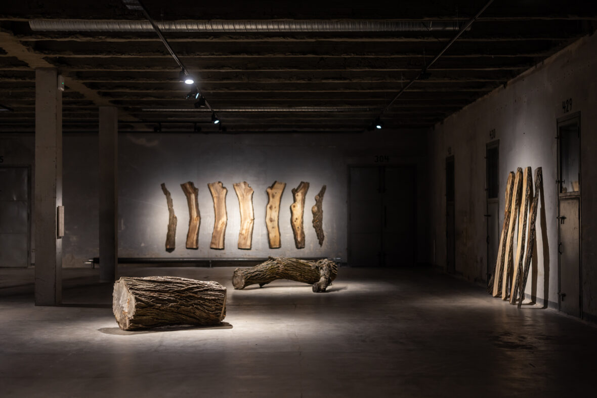 Tähtitorni A, B, C | Observatory A, B, C