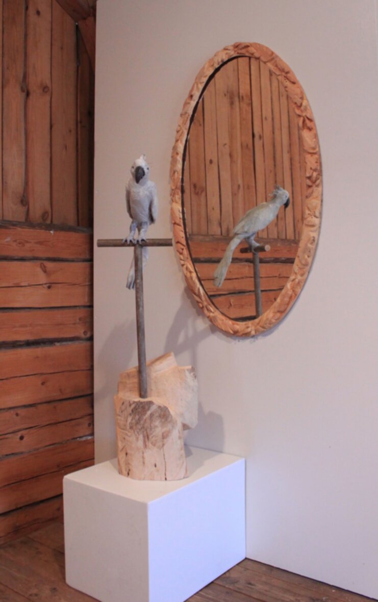 Kukkapeili ja harmaa papukaija