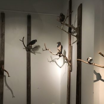 Name of the work: Birds