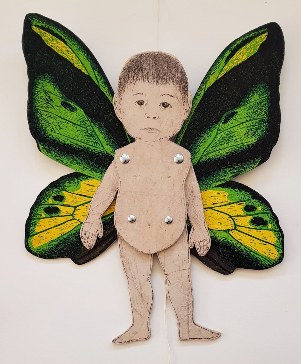 Uhanalaiset, Ornithoptera chimaera