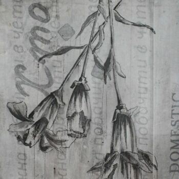 Name of the work: Dianthus Caryophyllus