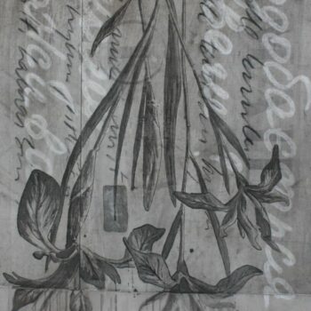 Name of the work: Iris Missouriensis