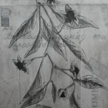 Name of the work: Atropa Belladonna