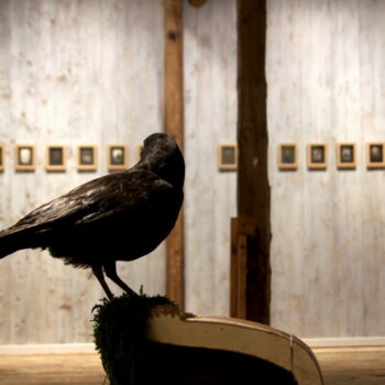 Additional work image