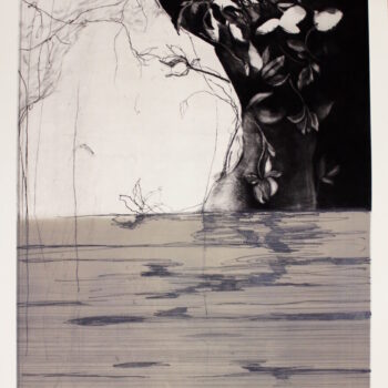 Name of the work: Mermaid sightings have decreased