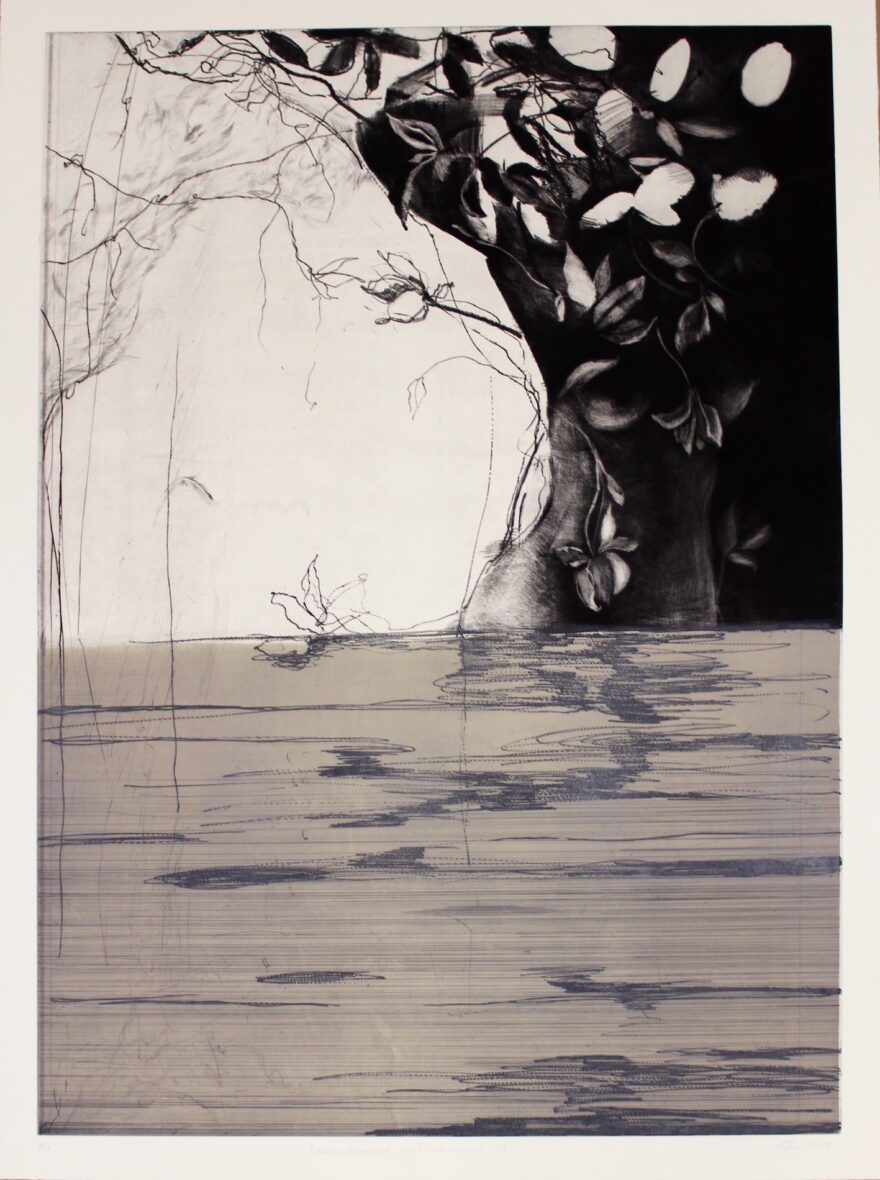 Mermaid sightings have decreased