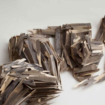 Teoksen nimi: Näe ihminen