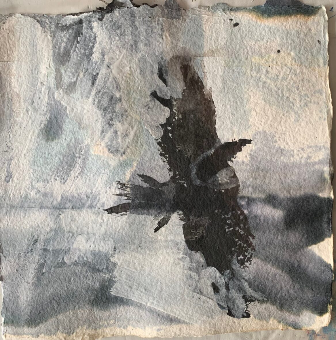 otteita päiväkirjasta “Lintujen kaupunki” – excerpts from the diary, “City of Birds”