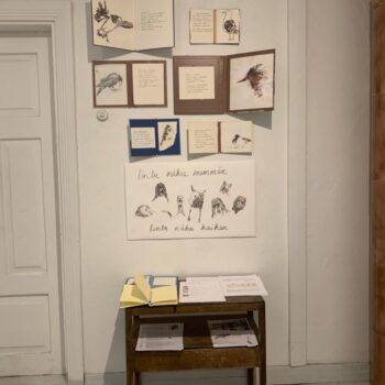 Teoksen nimi: Linturäppejä – Bird raps