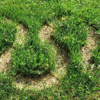 Additional work image