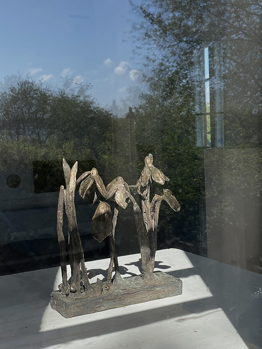 Lumikellot | Snowdrops