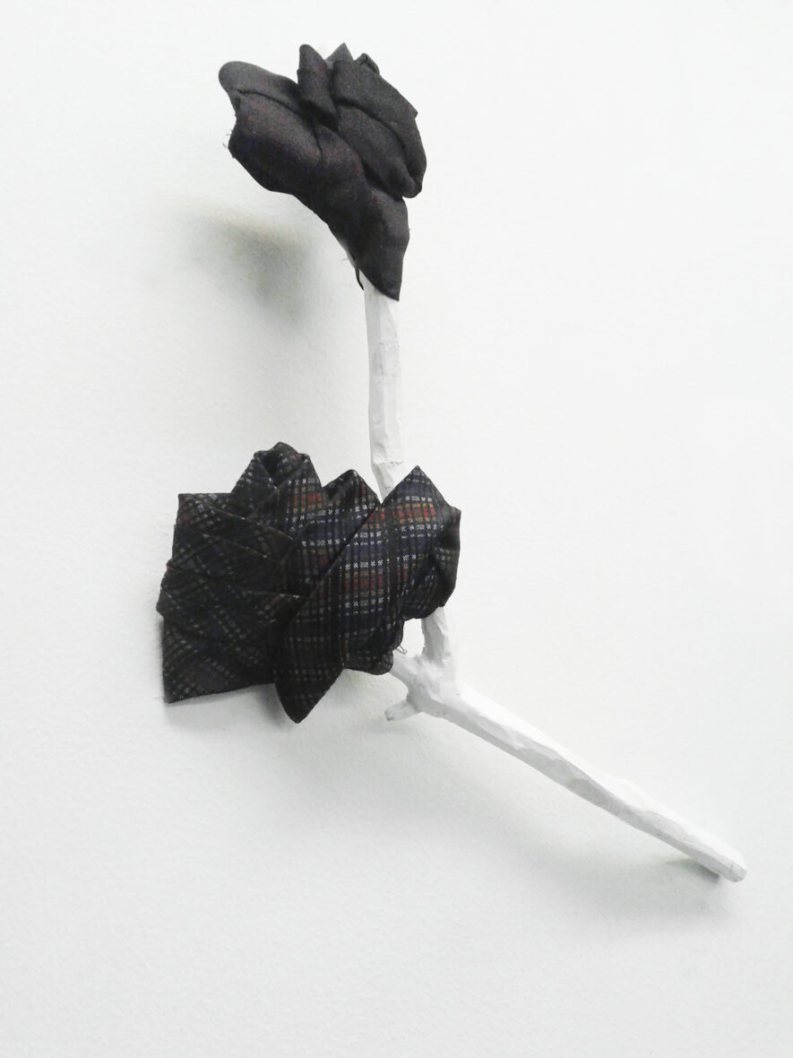 Samasta puusta | From the same tree