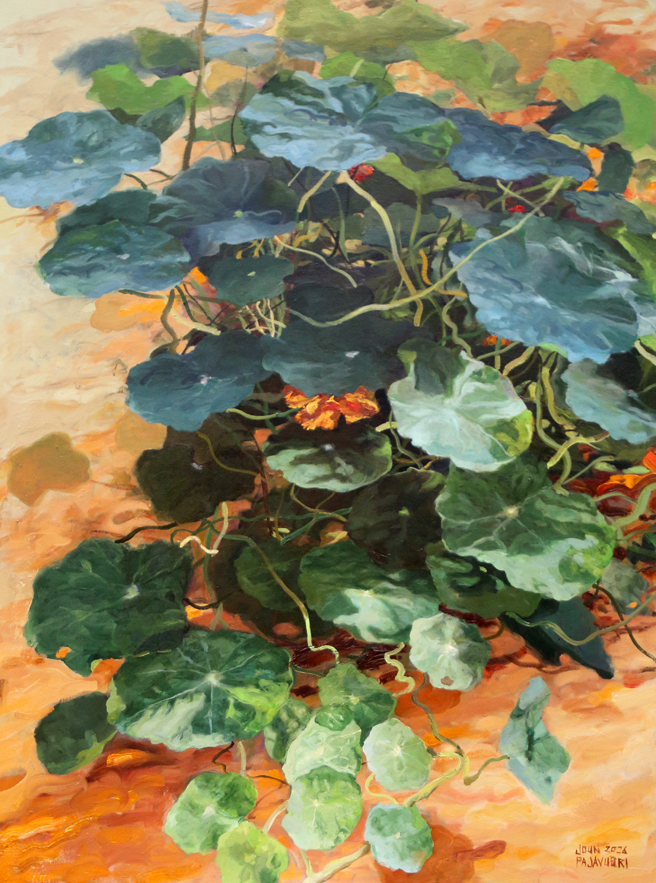 Hehkuva maa- sarjasta Nasturtium.