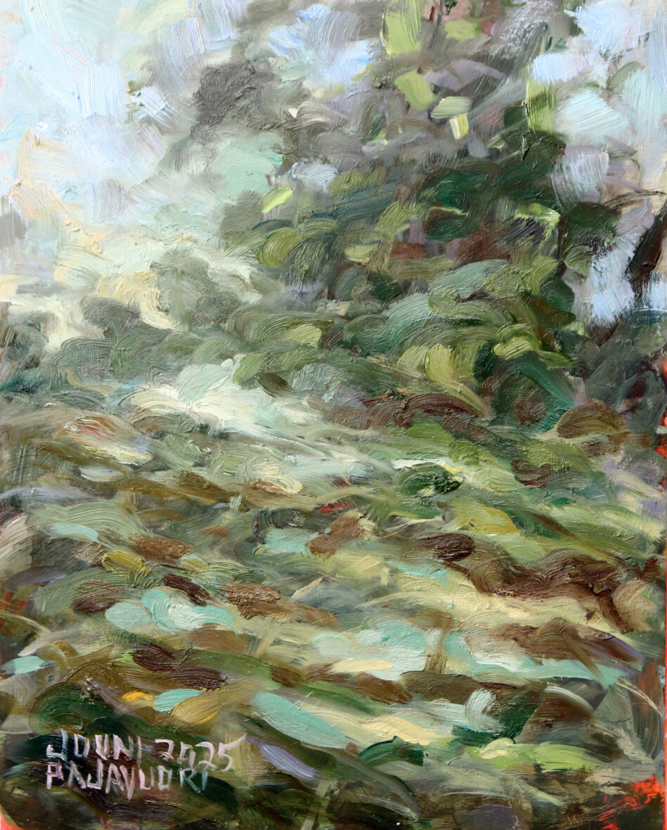 Kylmää kyytiä – Numerus 33