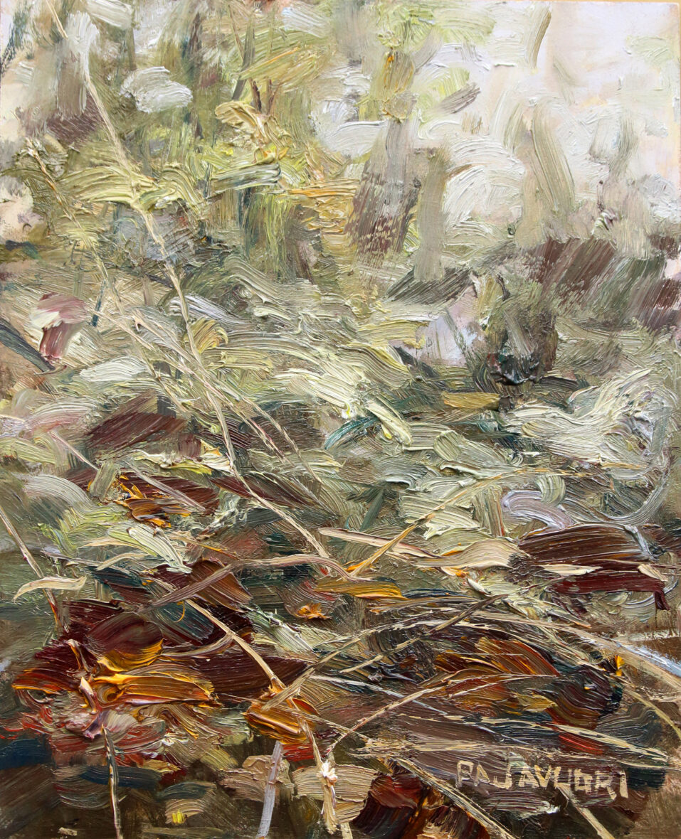 Maan maisema-Numerus 31