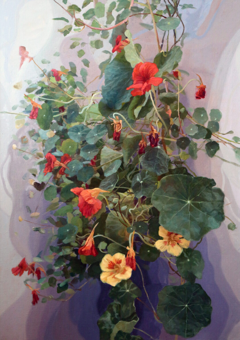 Nasturtium osa 62