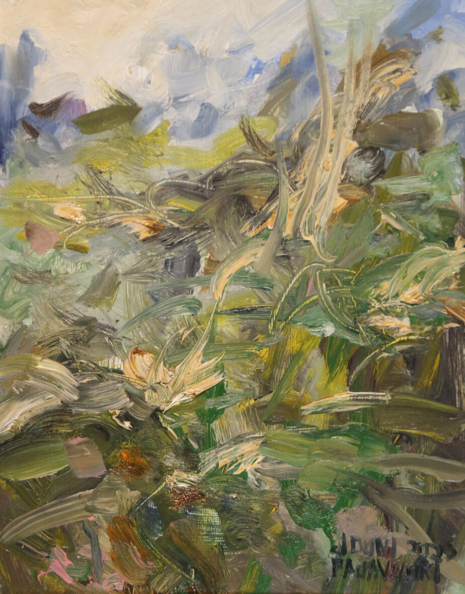 Sininen horisontti-Numerus 34