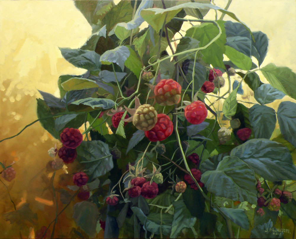 Rubus idaeus