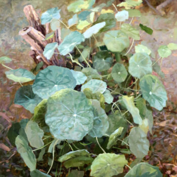 Teoksen nimi: Sadepäivä-Nasturtium 67