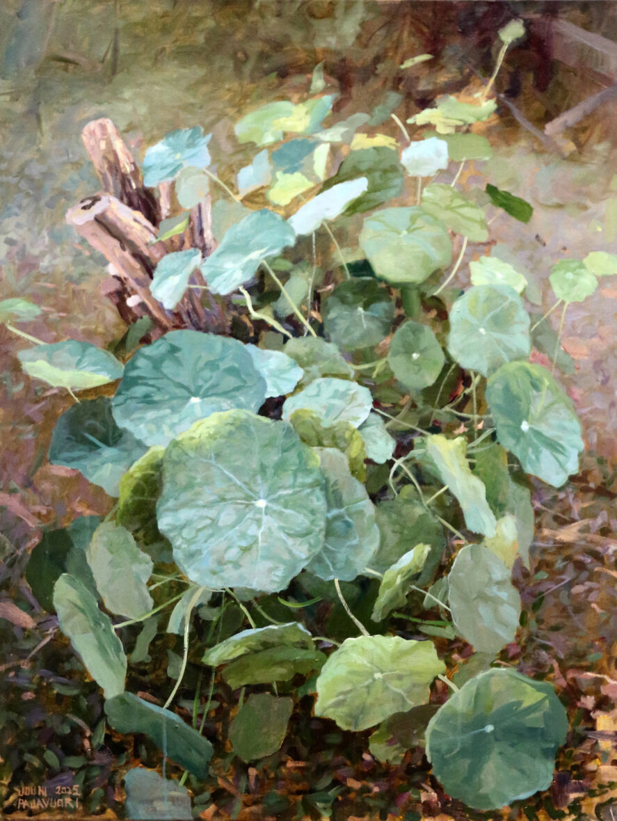 Sadepäivä-Nasturtium 67