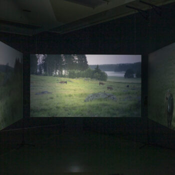 Teoksen nimi: LaidunG28: muu nähtävyys