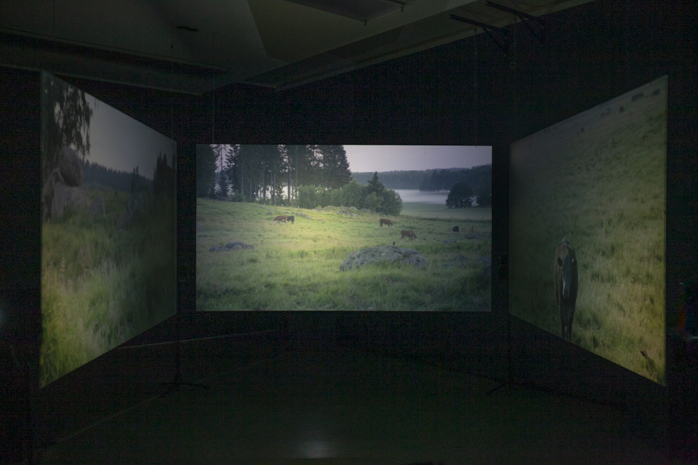 LaidunG28: muu nähtävyys