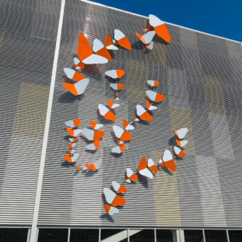 Teoksen nimi: Aamunkoi