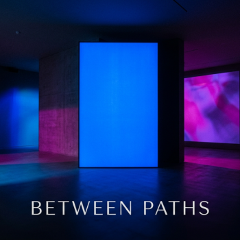 Teoksen nimi: Juan Kasari, Between paths installaatio
