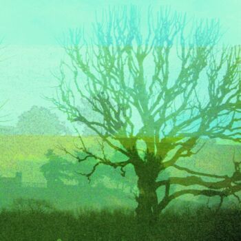 Name of the work: Puuni