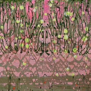 Name of the work: Pink Diadematus