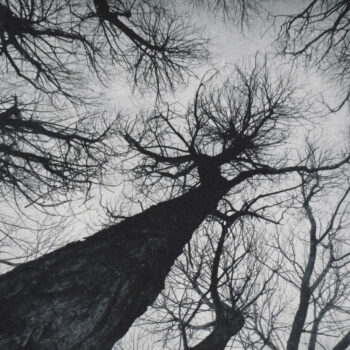 Teoksen nimi: Aprilis